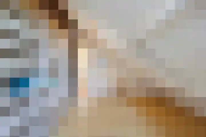 De Vijzel 8 Buitenpost thumbnail 60