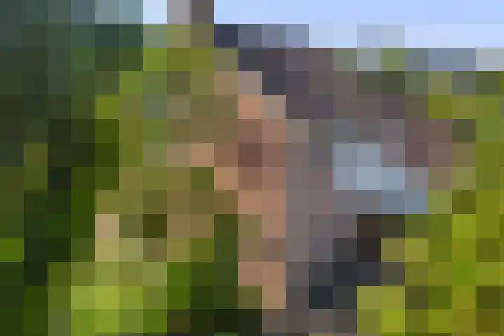 De Vijzel 8 Buitenpost thumbnail 67