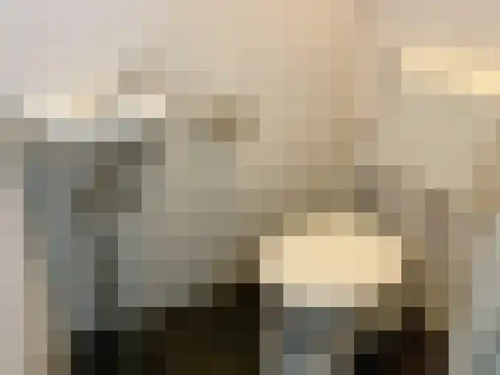 De Vink 14 Almelo thumbnail 8