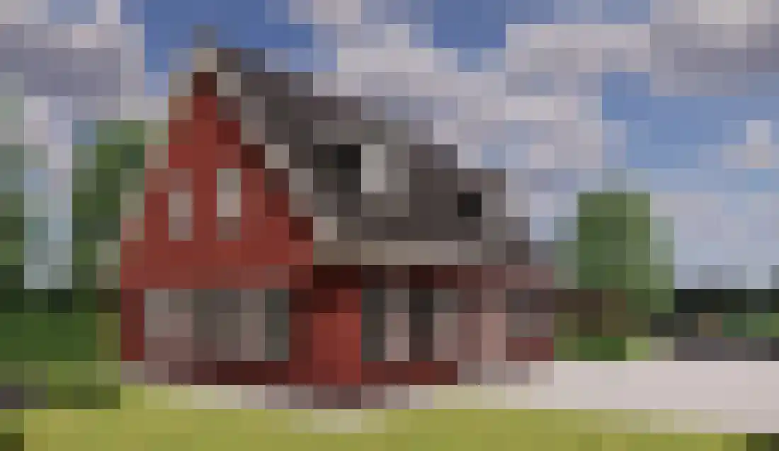 De Vinnen 2 c Maarheeze