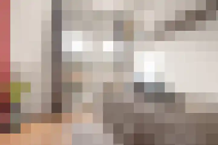 De Vischkom 6 Vleuten thumbnail 17