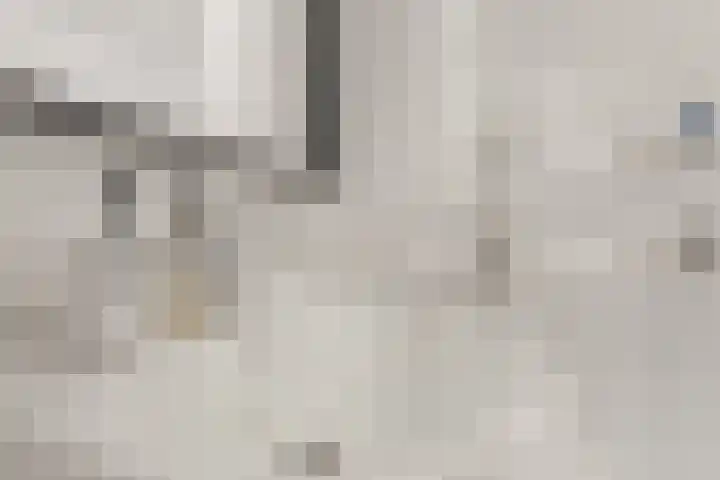 De Vischkom 6 Vleuten thumbnail 26