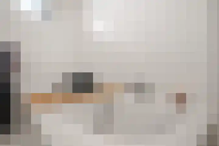 De Vischkom 6 Vleuten thumbnail 27