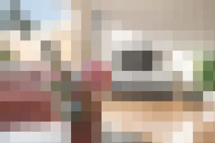 De Vischkom 6 Vleuten thumbnail 6