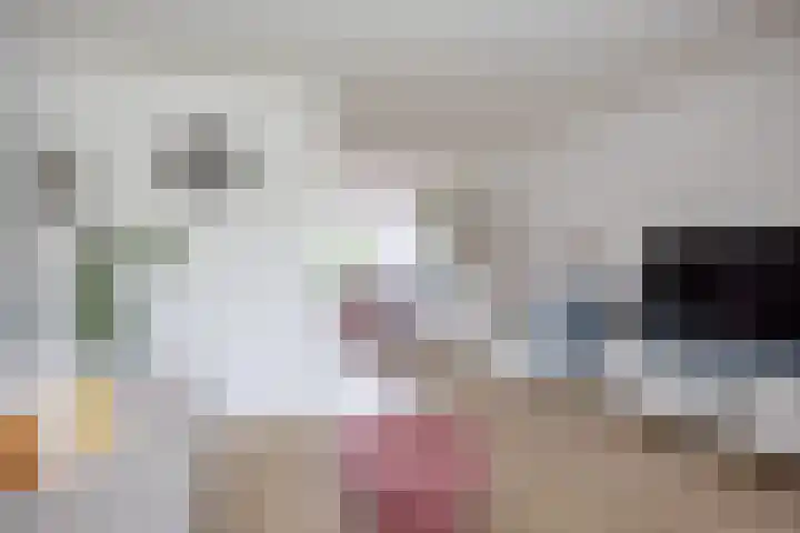 De Vlasakker 21 Bedum thumbnail 11