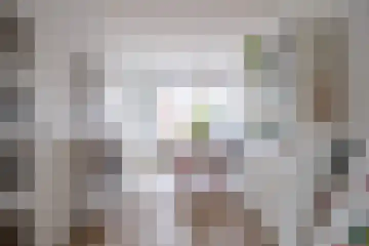 De Vlasakker 21 Bedum thumbnail 13