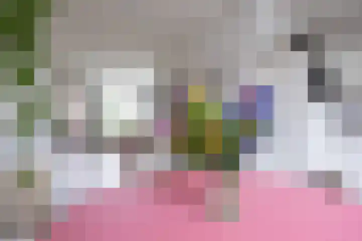 De Vlasakker 21 Bedum thumbnail 15