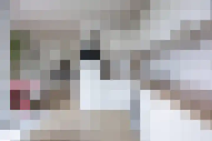 De Vlasakker 21 Bedum thumbnail 18