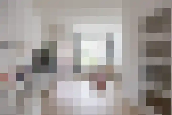 De Vlasakker 21 Bedum thumbnail 23