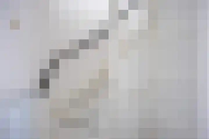 De Vlasakker 21 Bedum thumbnail 24