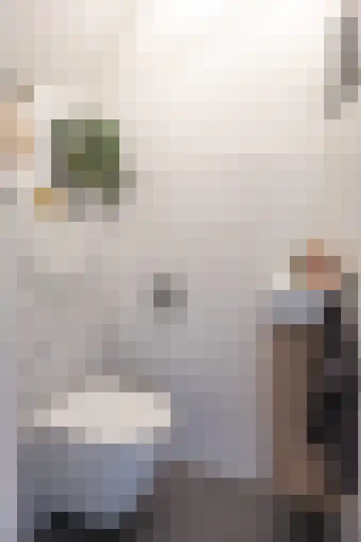 De Vlasakker 21 Bedum thumbnail 25