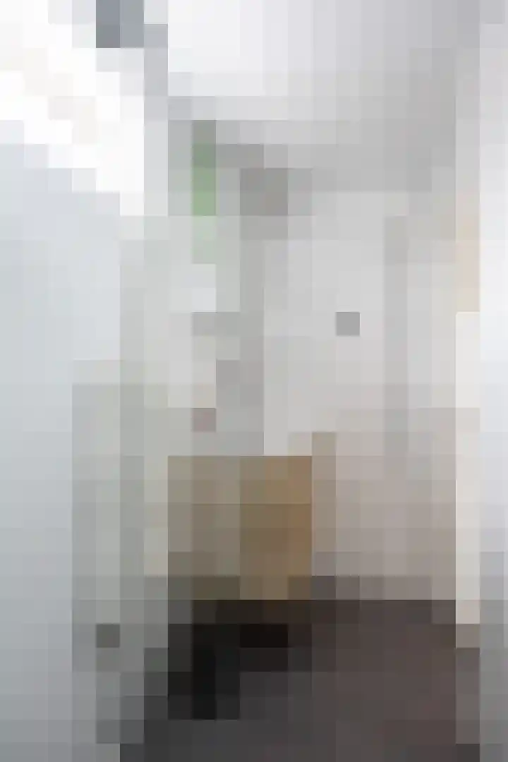 De Vlasakker 21 Bedum thumbnail 38