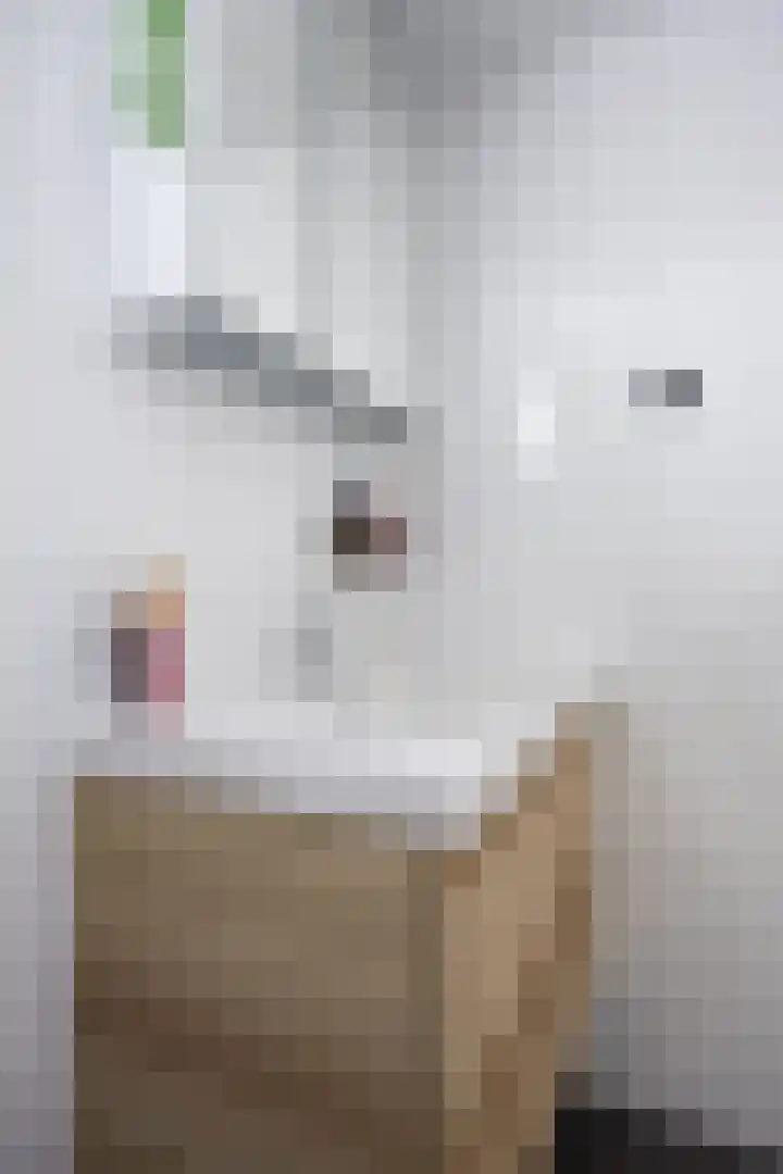 De Vlasakker 21 Bedum thumbnail 39