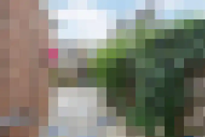 De Vlasakker 21 Bedum thumbnail 41