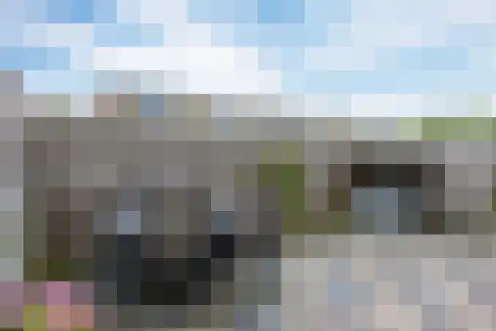 De Vlasakker 21 Bedum thumbnail 43