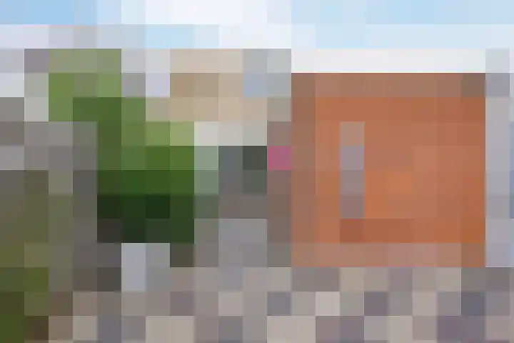 De Vlasakker 21 Bedum thumbnail 45