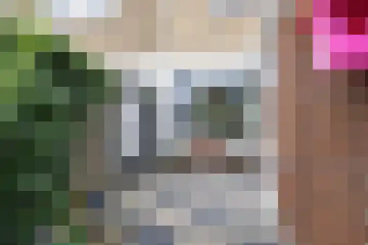 De Vlasakker 21 Bedum thumbnail 46