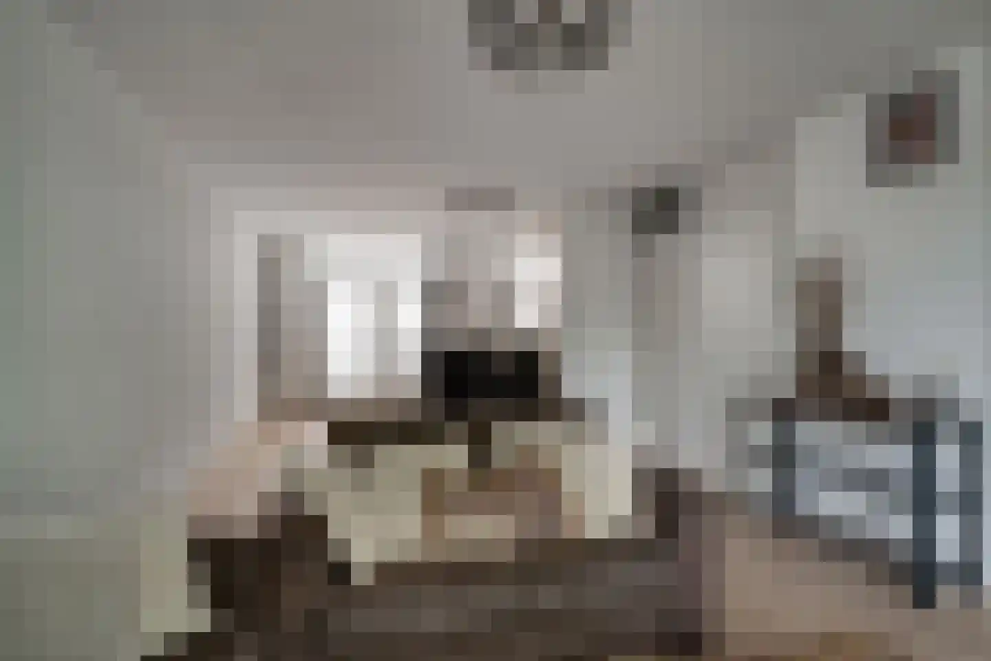 De Vlasakkers 10 Oss thumbnail 14