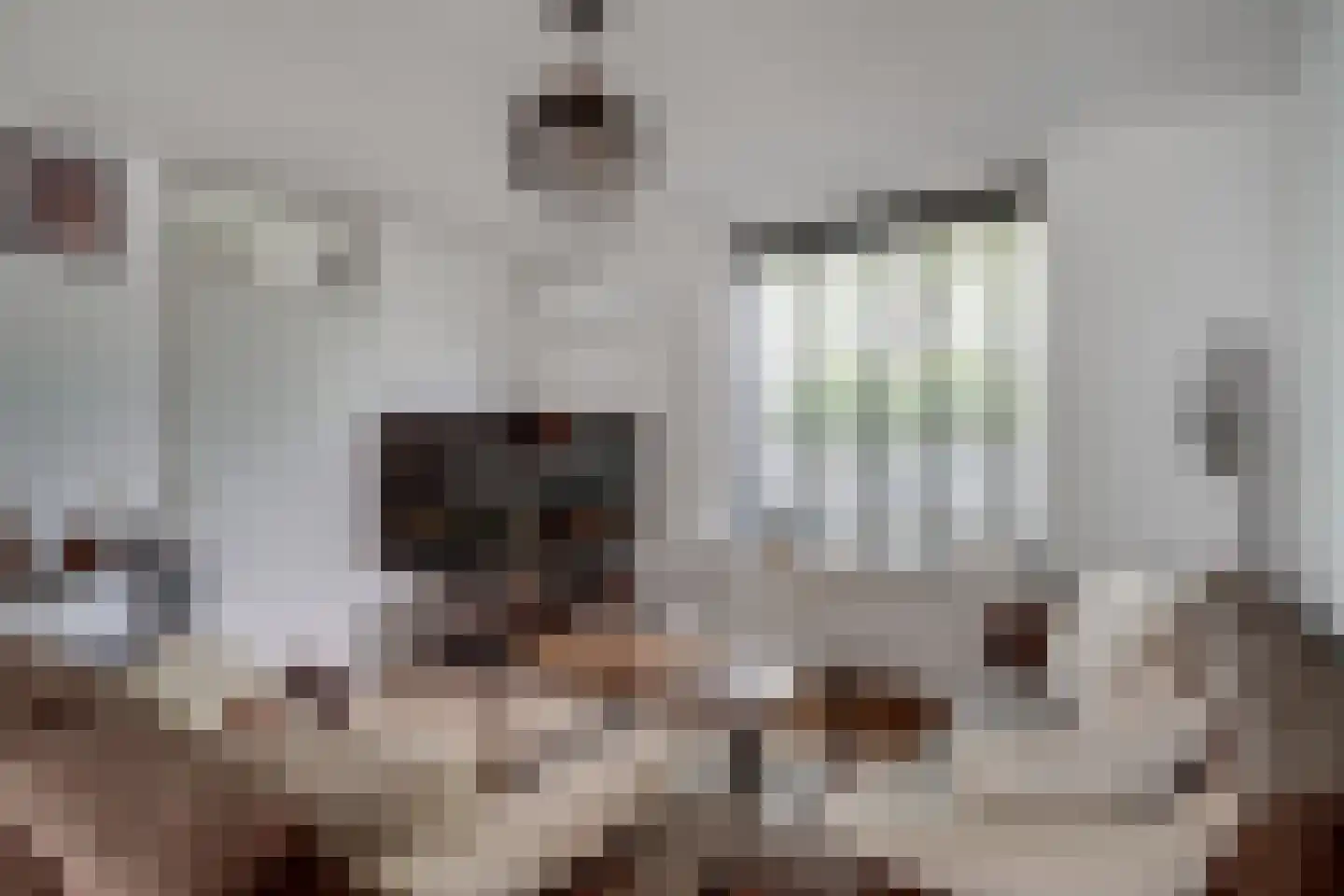 De Vlasakkers 10 Oss thumbnail 16