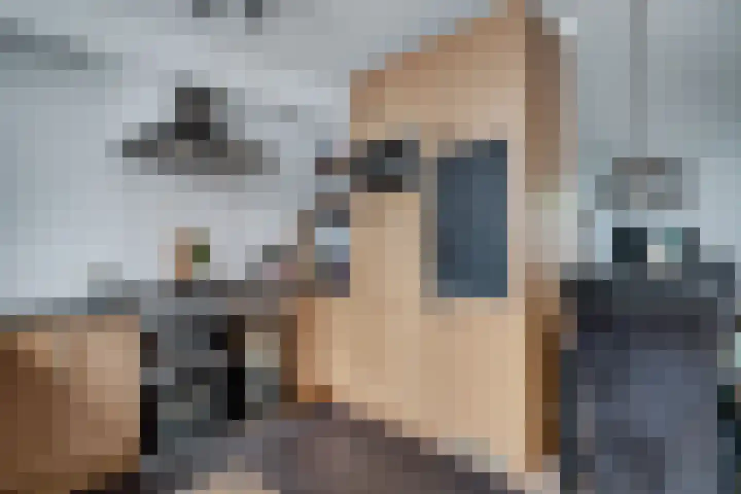 De Vlasakkers 10 Oss thumbnail 19