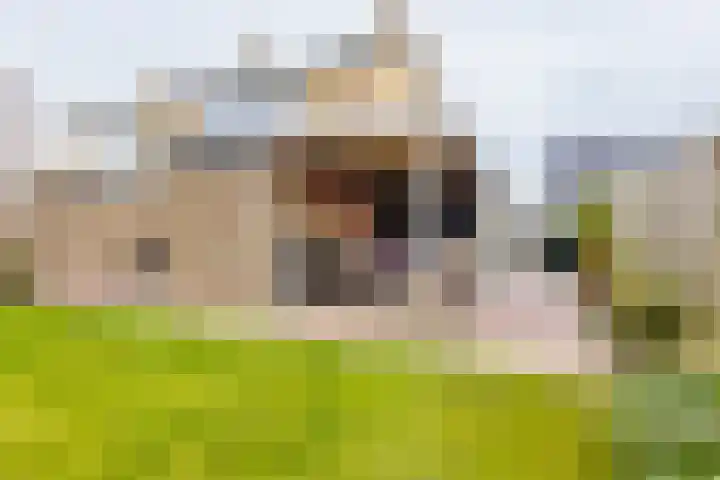 De Vlecke 27 Gorredijk thumbnail 10