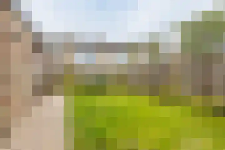 De Vlecke 27 Gorredijk thumbnail 12