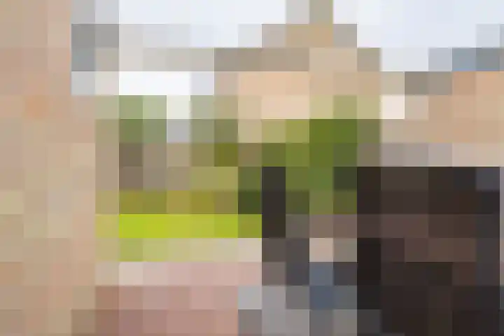 De Vlecke 27 Gorredijk thumbnail 14