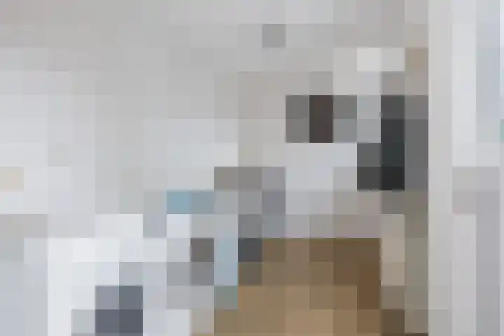 De Vlecke 27 Gorredijk thumbnail 34