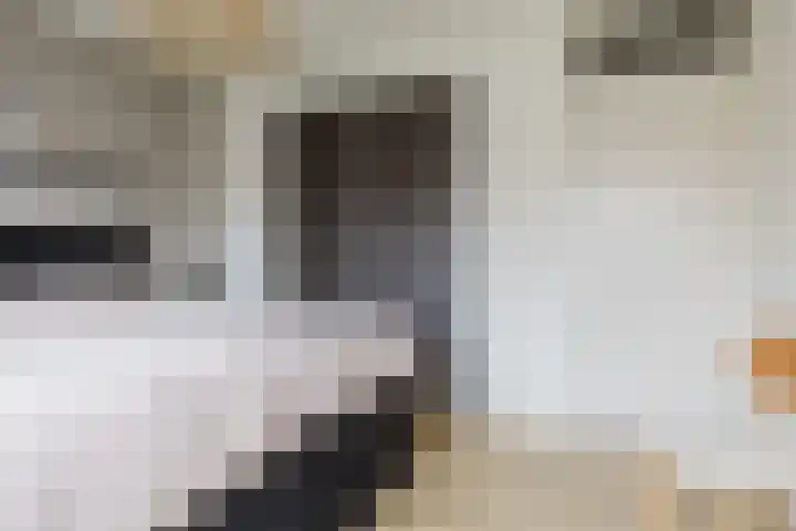 De Vlecke 27 Gorredijk thumbnail 45