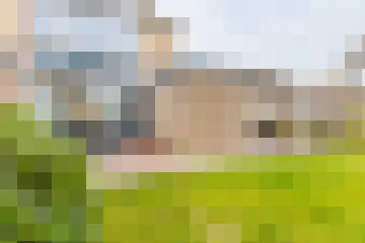 De Vlecke 27 Gorredijk thumbnail 9