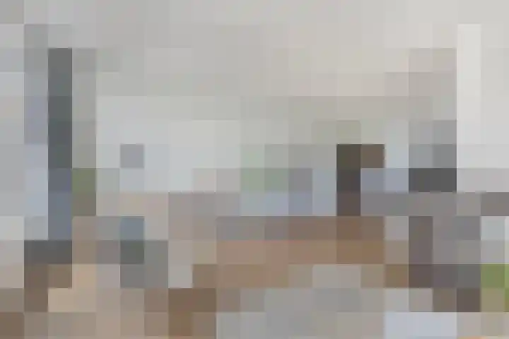 De Vlecke 40 Gorredijk thumbnail 13