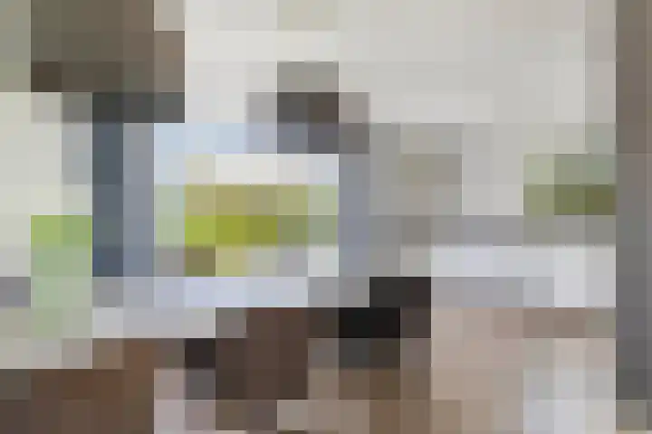 De Vlecke 40 Gorredijk thumbnail 15