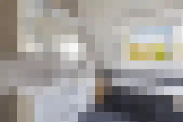 De Vlecke 40 Gorredijk thumbnail 27