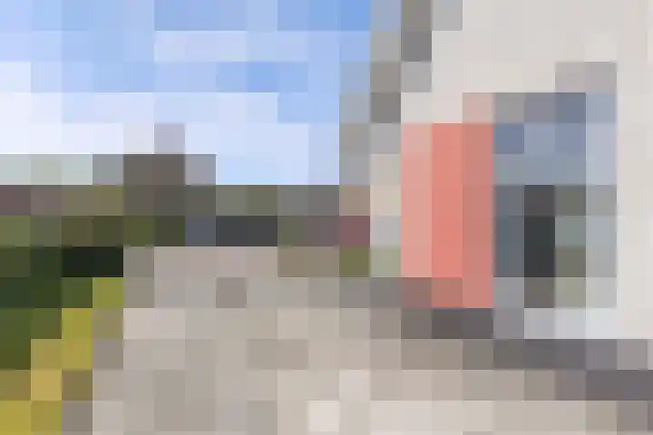 De Vlecke 40 Gorredijk thumbnail 31