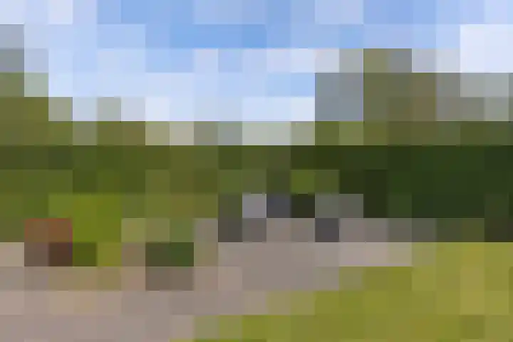 De Vlecke 40 Gorredijk thumbnail 34