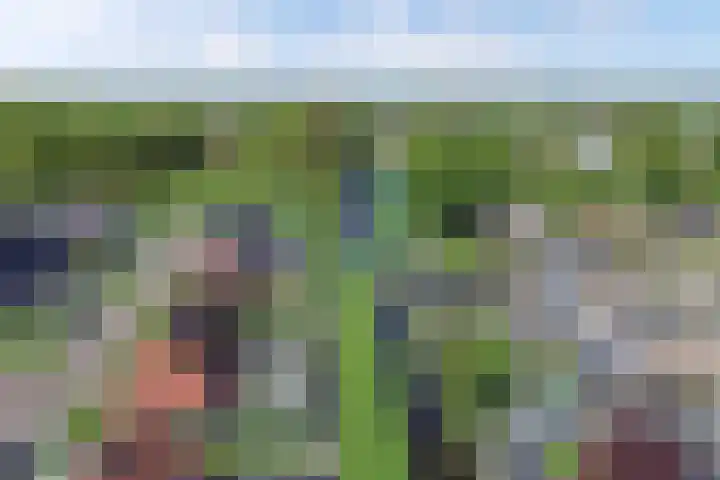 De Vlecke 40 Gorredijk thumbnail 40