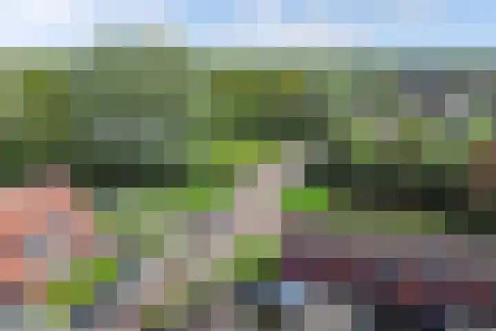 De Vlecke 40 Gorredijk thumbnail 41