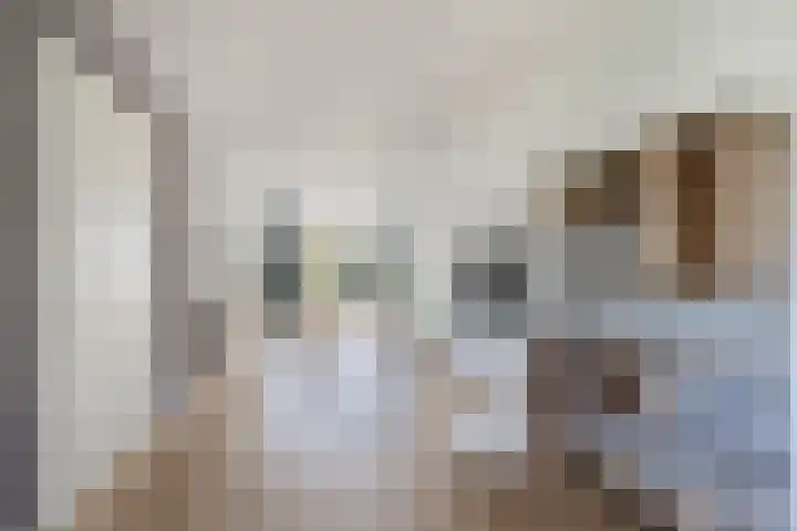 De Vlecke 40 Gorredijk thumbnail 9