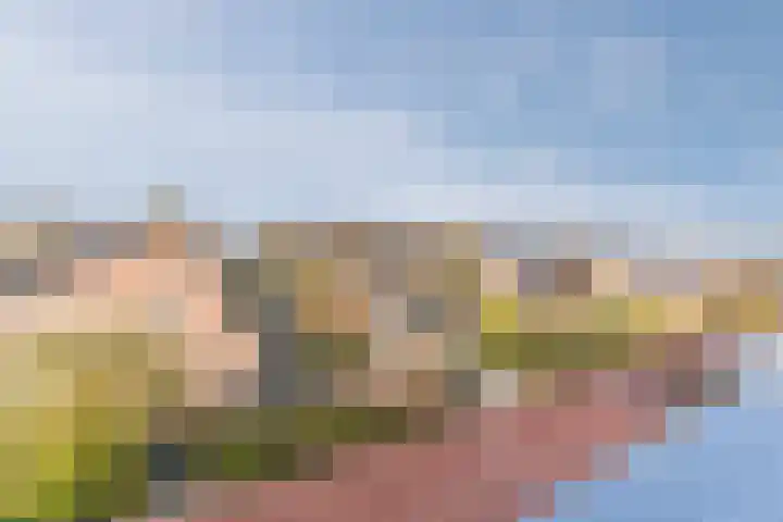 De Vleeshouwer 1 Veldhoven thumbnail 41