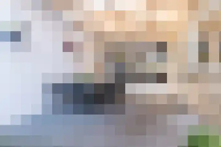De Vleeshouwer 1 Veldhoven thumbnail 43