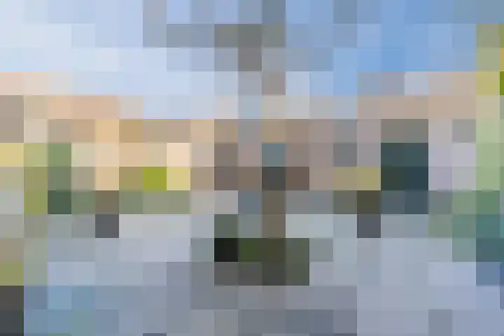 De Vleeshouwer 1 Veldhoven thumbnail 44