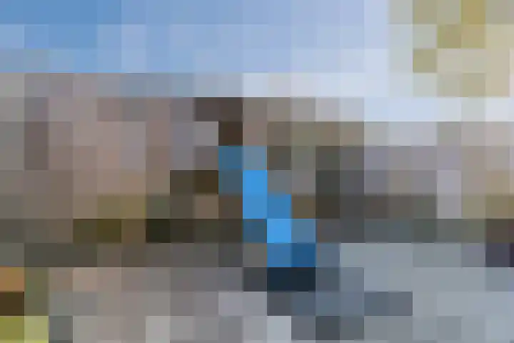 De Vleeshouwer 1 Veldhoven thumbnail 46