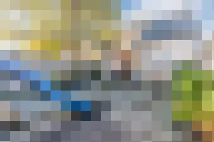 De Vleeshouwer 1 Veldhoven thumbnail 47