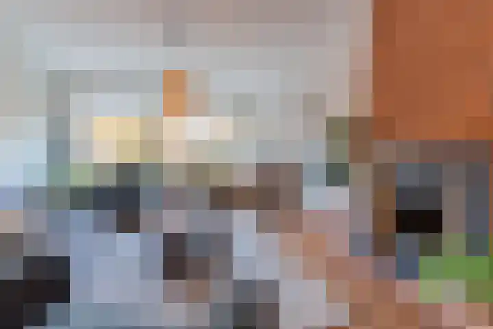 De Vleeshouwer 1 Veldhoven thumbnail 5
