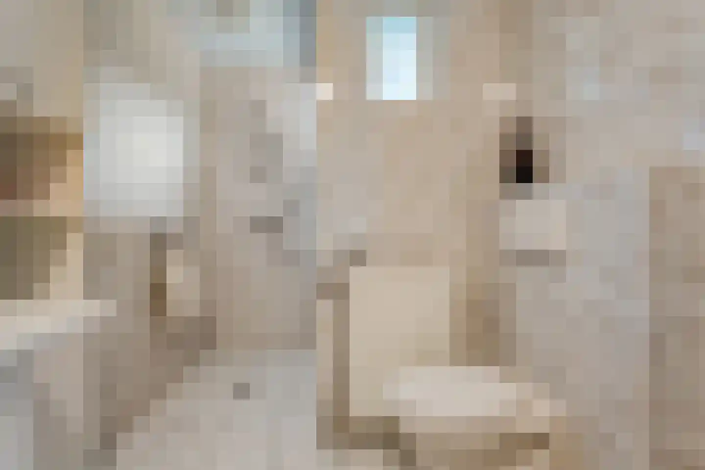 De Vleggedijk 2 Sibculo thumbnail 27