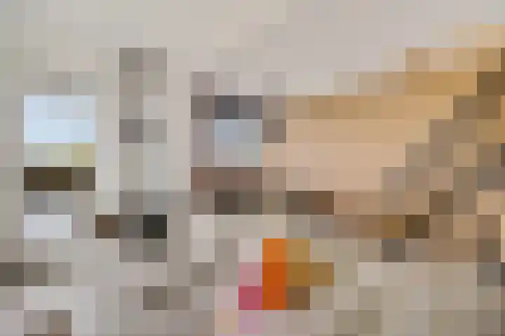 De Vlet 34 1 Grou thumbnail 12