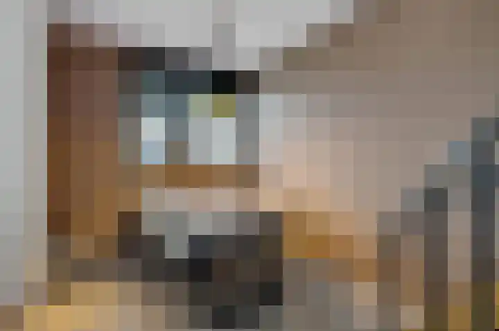 De Vlet 34 1 Grou thumbnail 17