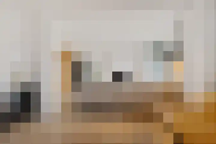 De Vlet 34 1 Grou thumbnail 18