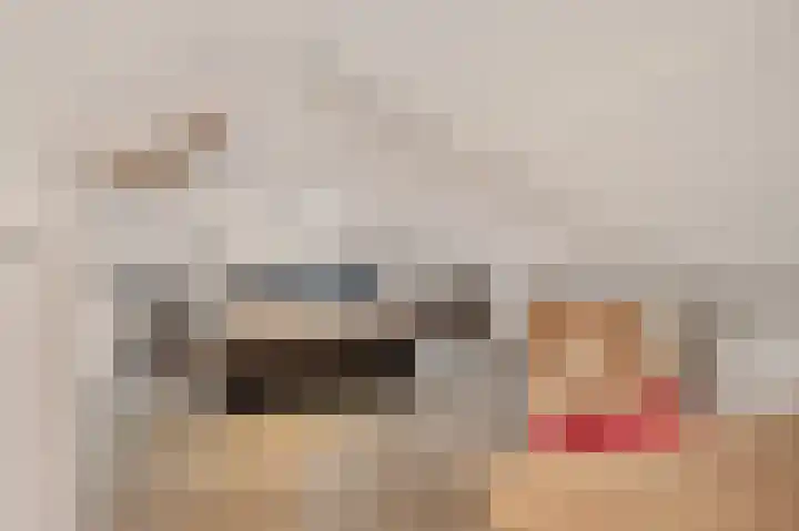 De Vlet 34 1 Grou thumbnail 25