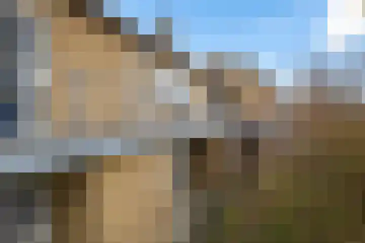 De Vlet 34 1 Grou thumbnail 29